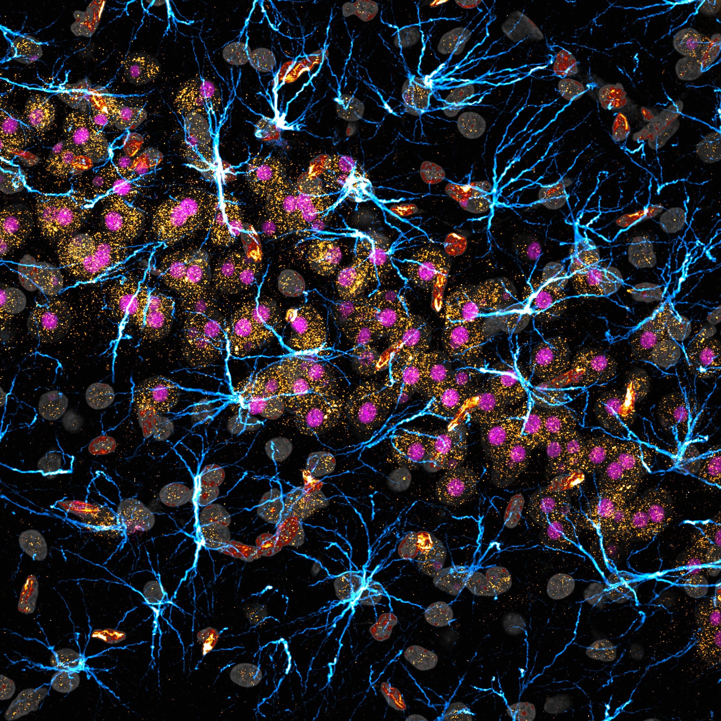 Multi-colored dots connected by electrical arcs.